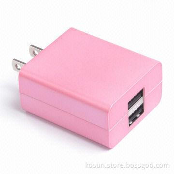 Dual USB Travel Charger with 100 to 240V Input